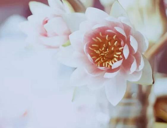 汉中成考
